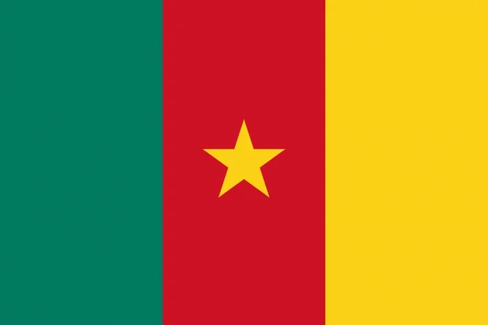 Cameroon Courtesy Flag
