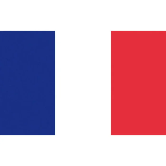Flag France 20 x 30 cm – Durable Polyester with Indelible Colors for Nautical Use