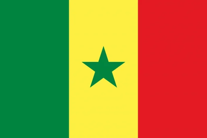 Senegal Courtesy Flag